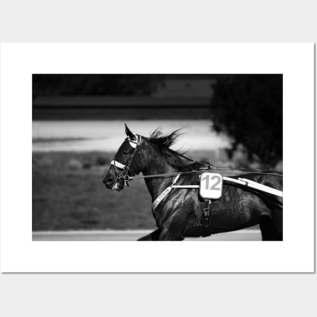 harness horse cart racing - 12 Wall Art by hottehue